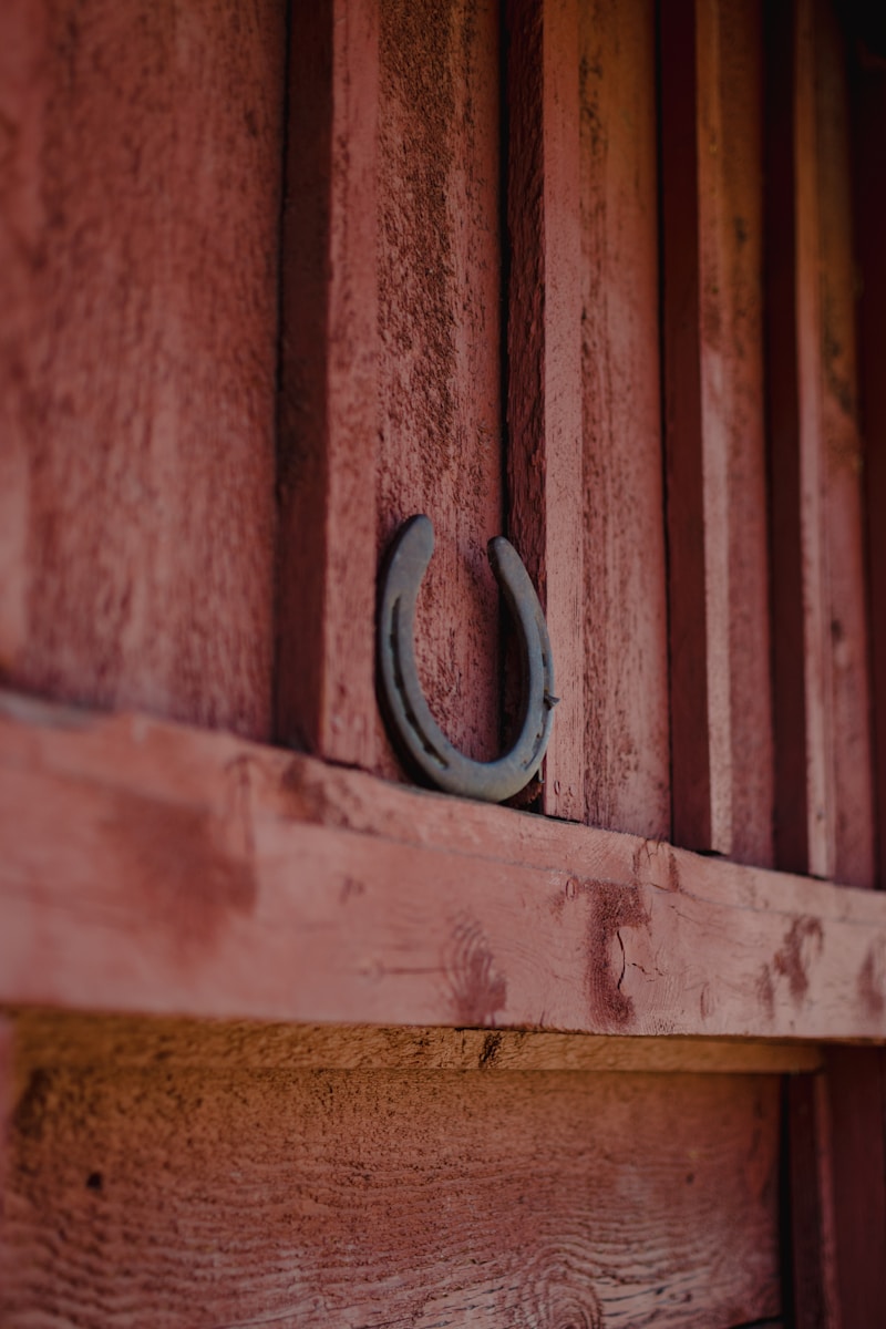 Photo by Meg MacDonald a wooden door with a metal hook on it